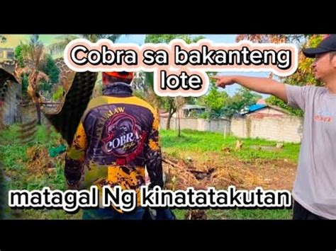 chupa sa bakanteng lote|JAKOL SA BAKANTENG LOTE .